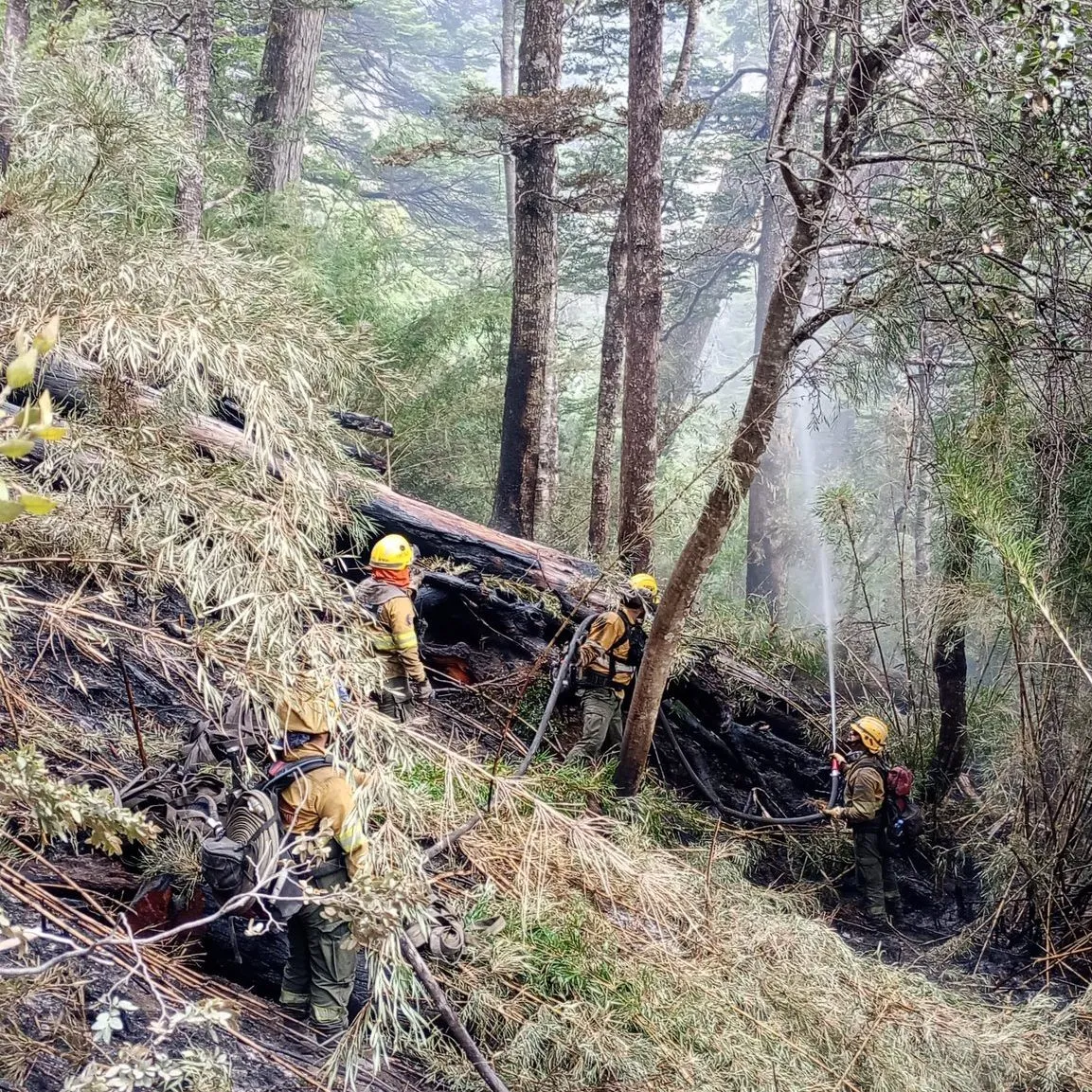 DPA instala bomba de agua para mejorar operaciones del SPLIF