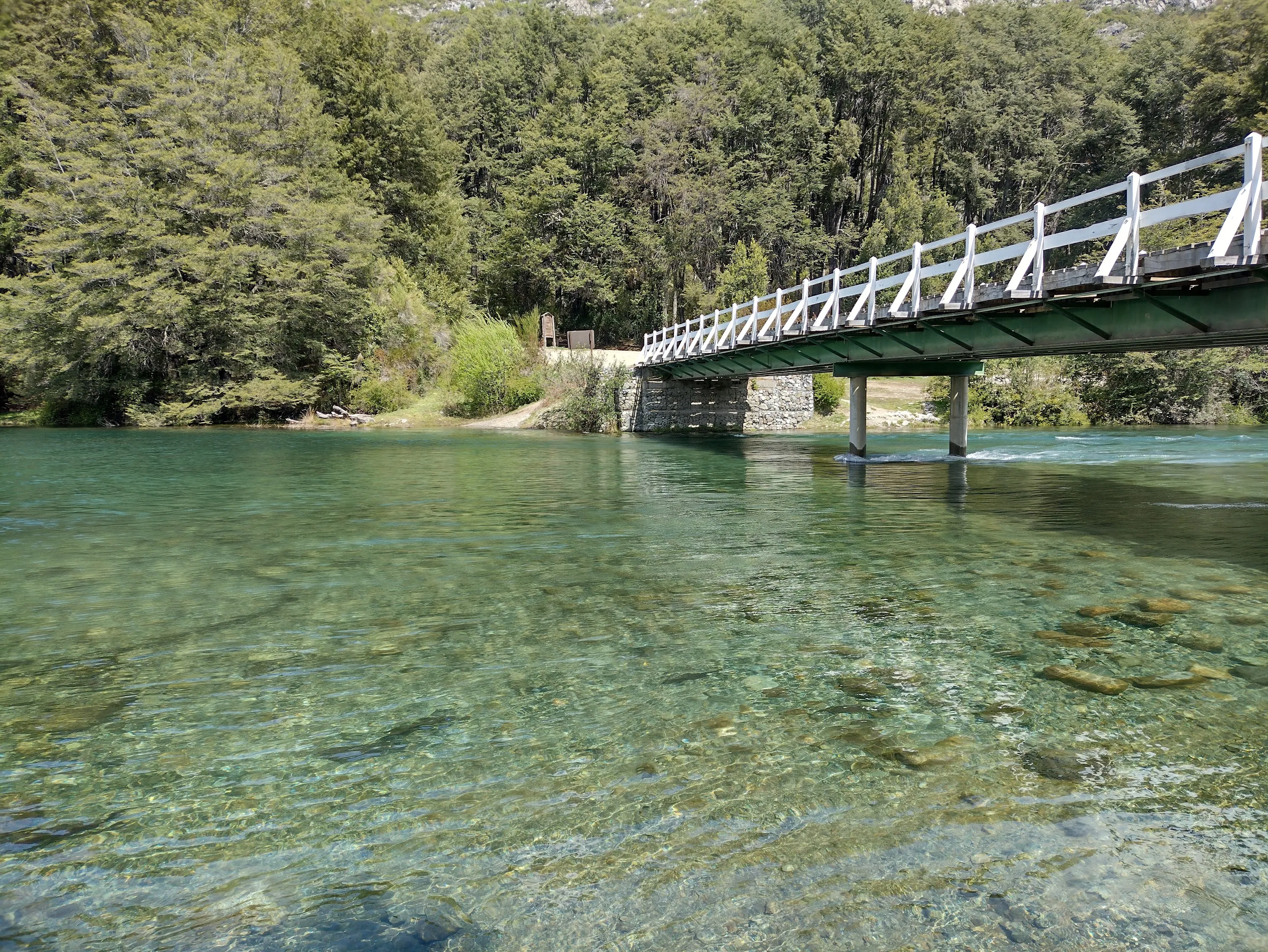 Joven turista muere ahogado en el río Manso